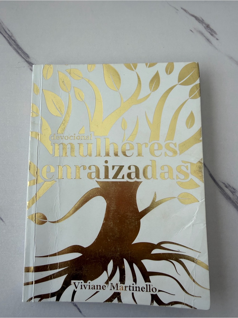 VIDA White Book with Gold Foil Leaf Design